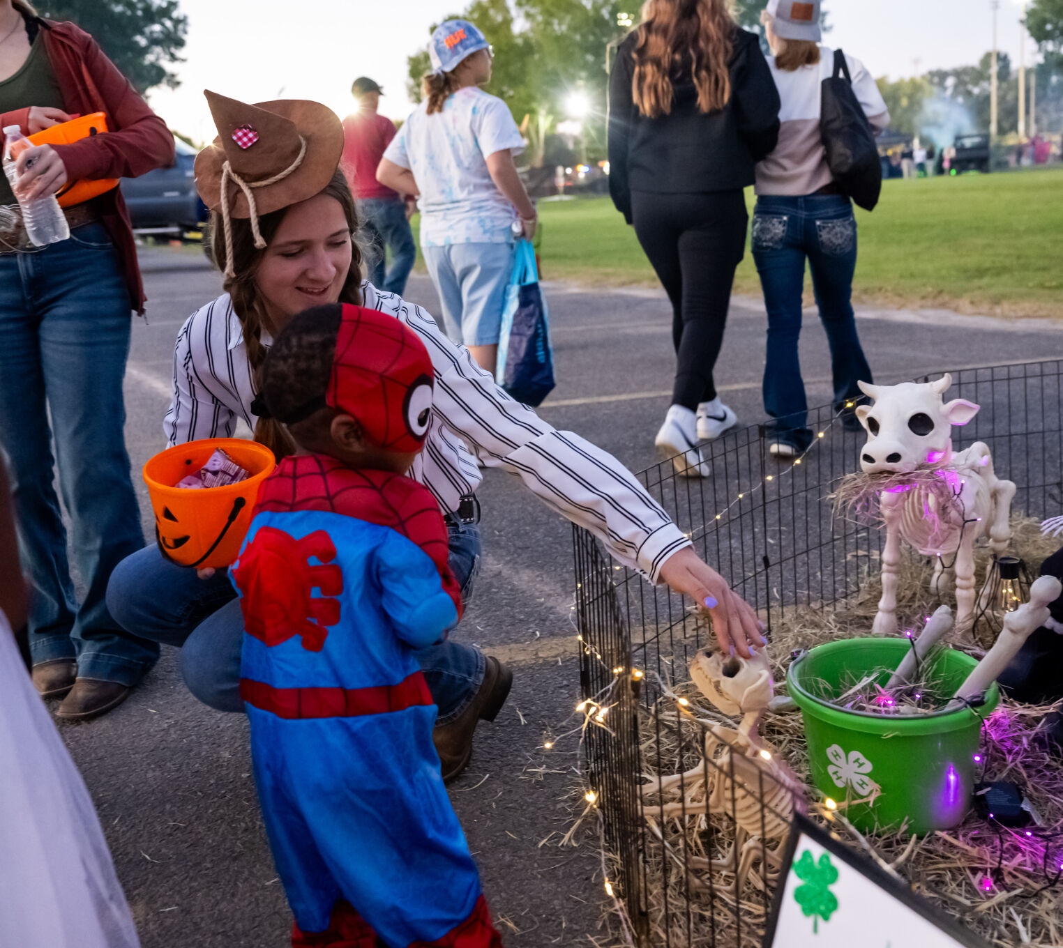 BR.wftrunktreatxtra.102324_8396 MJ.JPG